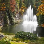 Secret To The Fountain of Youth Pt 1