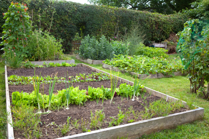 Organic Gardening on Organic Gardening